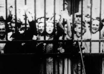 Three Great Documentaries to Stream