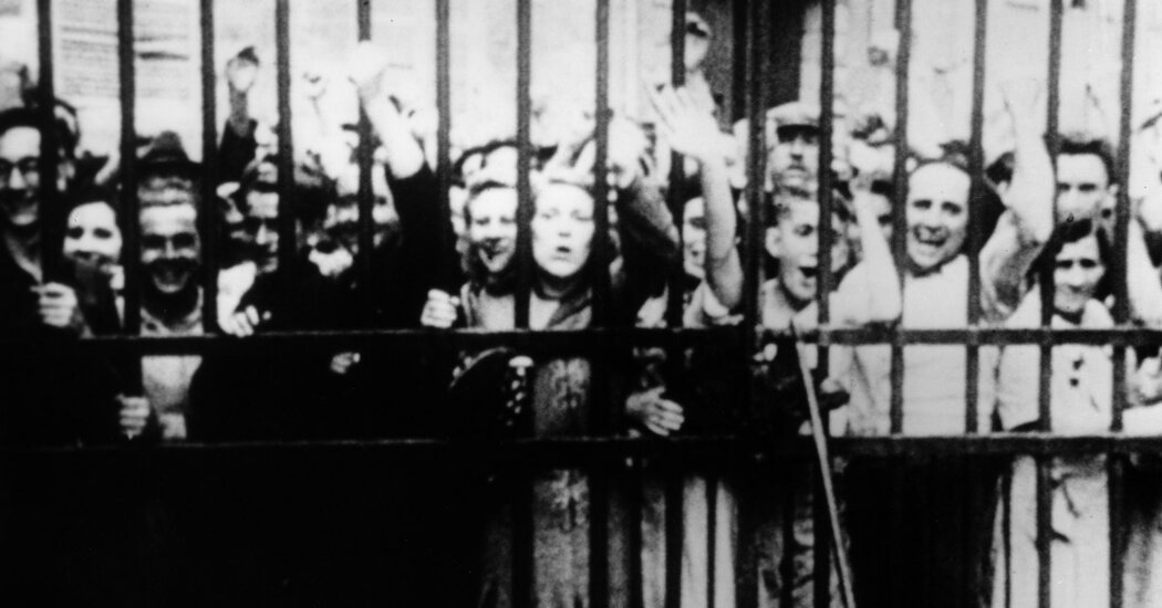 Three Great Documentaries to Stream