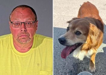 Town pol accused of strangling lost golden retriever as good Samaritan watched in horror: ‘All I can see is those dog eyes looking at me’