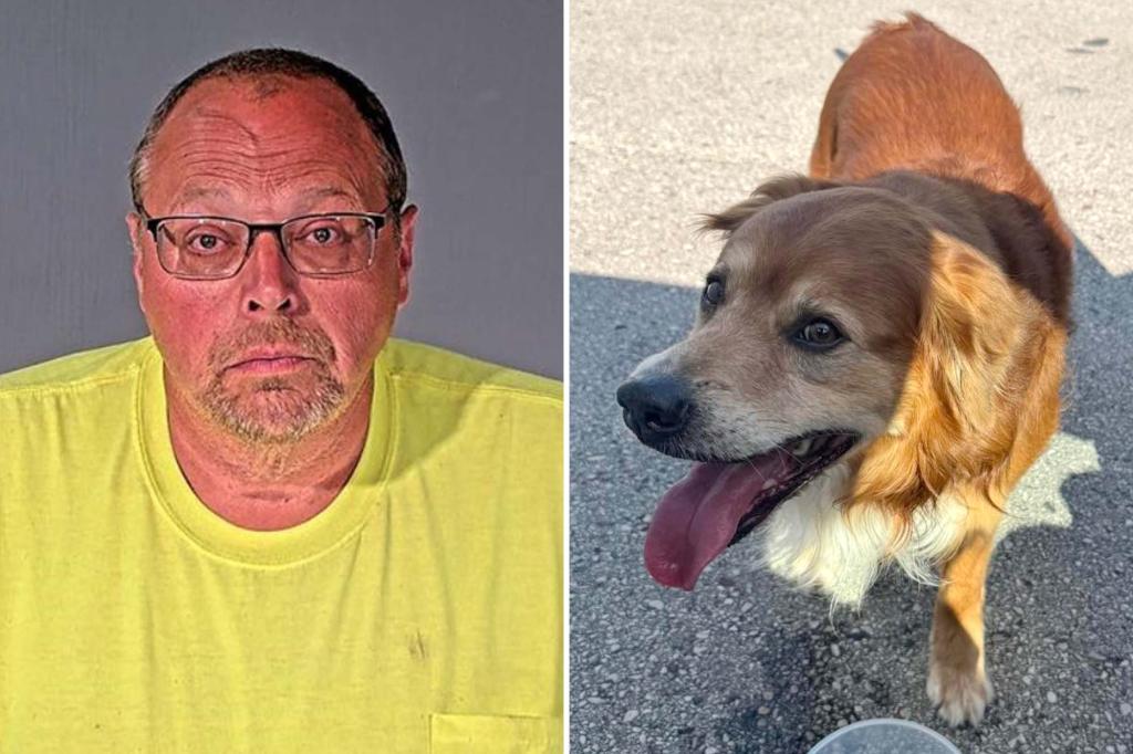 Town pol accused of strangling lost golden retriever as good Samaritan watched in horror: ‘All I can see is those dog eyes looking at me’