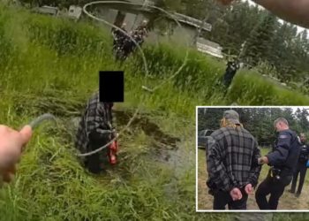 Washington deputy lassos chainsaw-wielding suspect in wild video