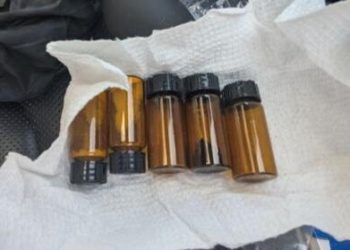 Wisconsin Couple Charged in Scheme to Poison Women He Dated