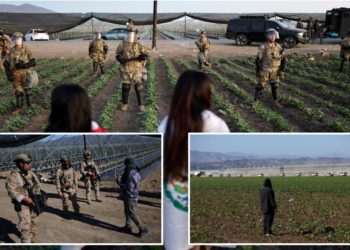 10 illegal migrant kids found at California pot farm as feds launch ‘child labor’ probe