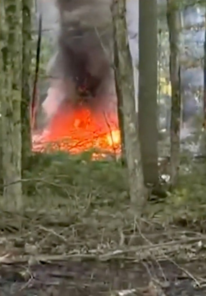 Burning plane wreckage in a wooded area.