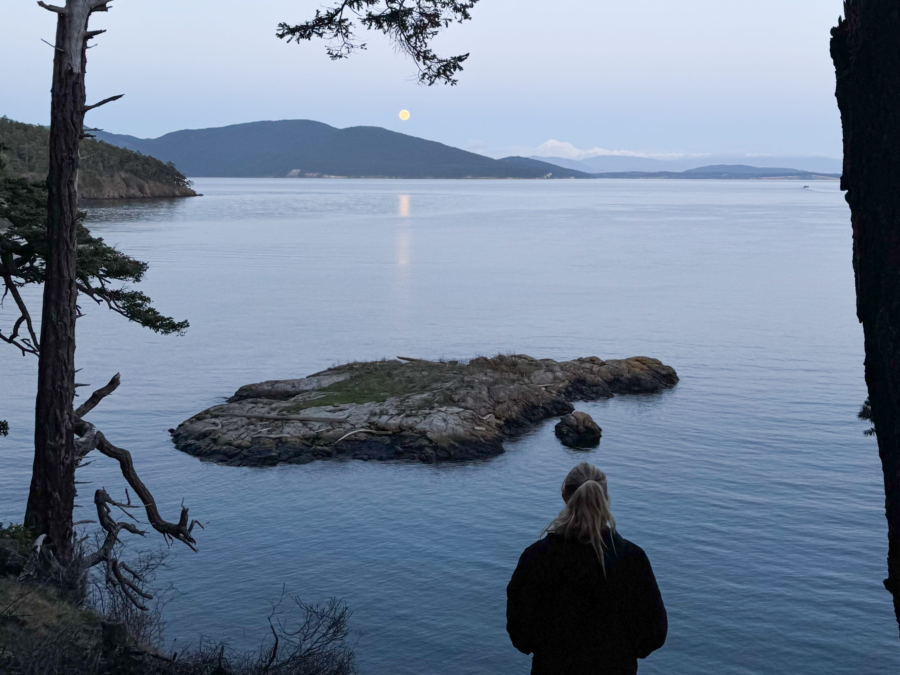 Blakely stands between two trees, looking out at the water and mountains at dusk.