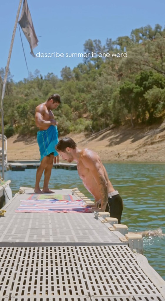 Shirtless Zac Efron and brother Dylan get wet and wild during summer day at the lake 