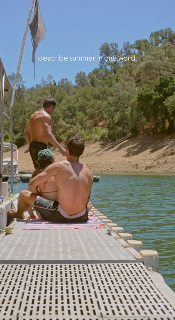 Shirtless Zac Efron and brother Dylan get wet and wild during summer day at the lake 