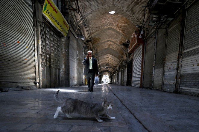 A cat walks across an empty market while a man walks behind her 