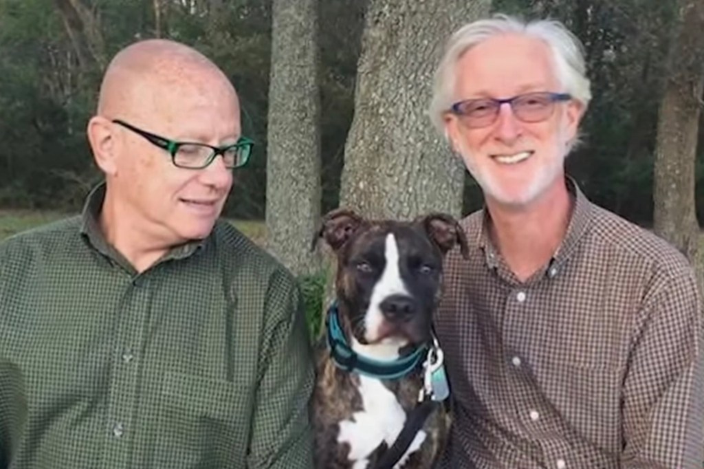 Two men and a dog sitting outdoors.