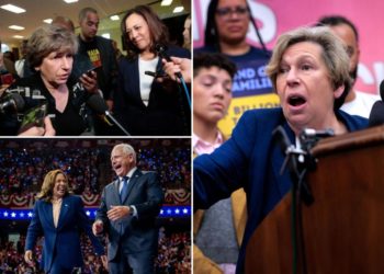 Democrats should ‘break up’ with Randi Weingarten, ex-Harris campaign aide argues
