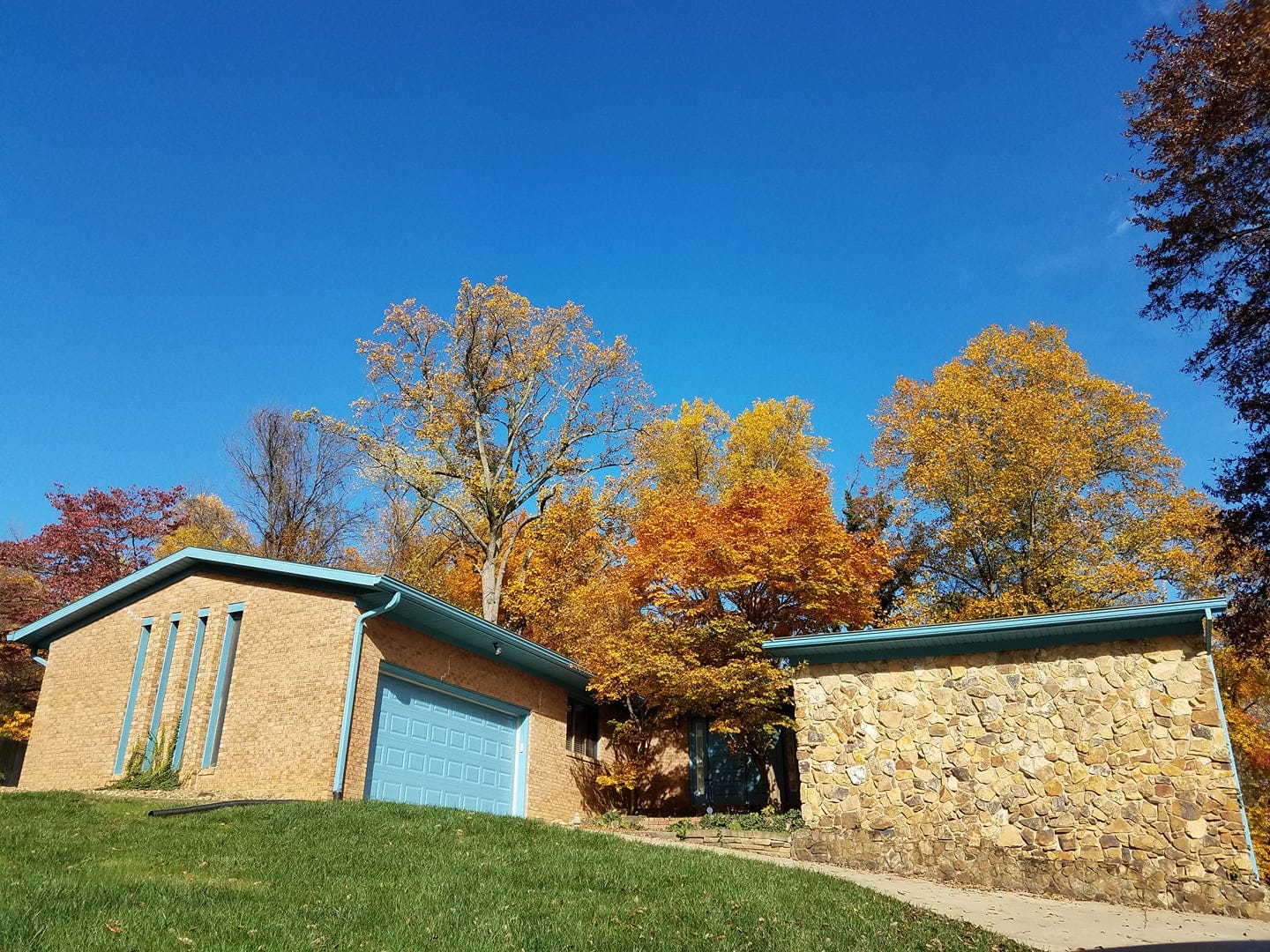 Photo of trees changing color