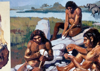 Neanderthals Ran a ‘Fat Factory’ 125,000 Years Ago—and It May Have Saved Lives