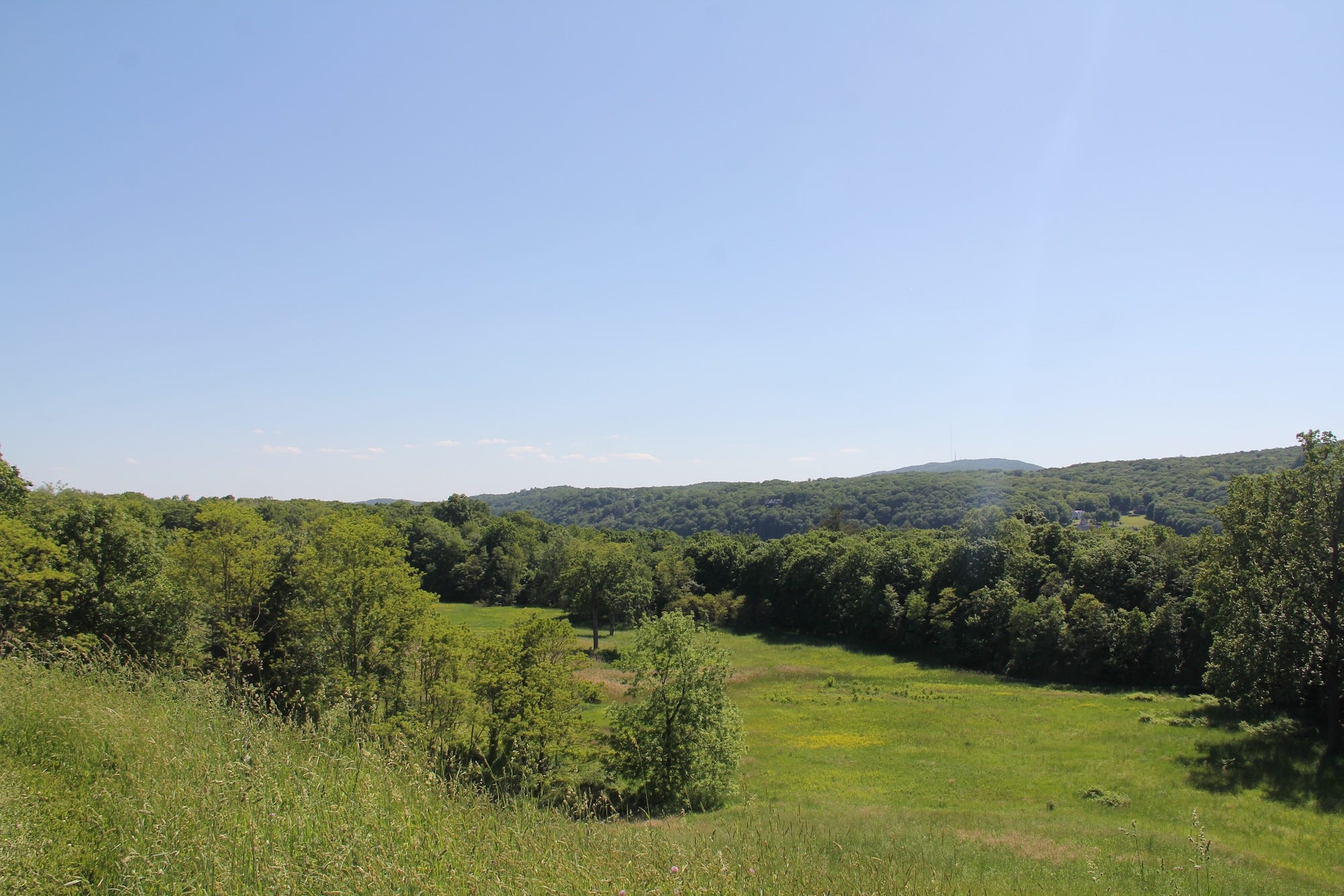 A view of the Hudson Valley from Springwood.