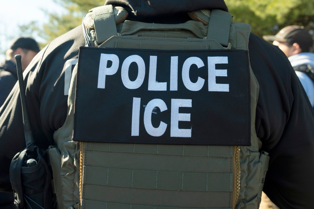 ICE Police vest.
