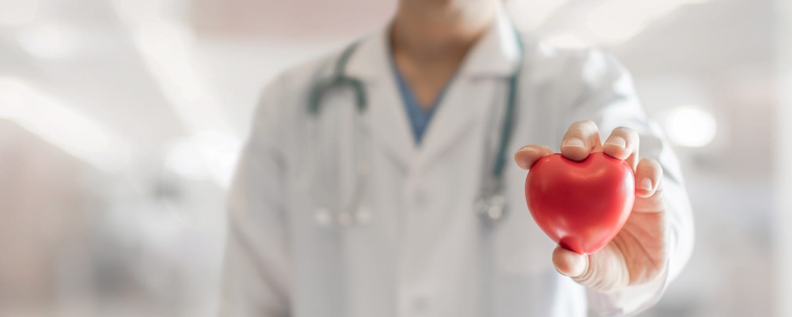 doctor holding heart model