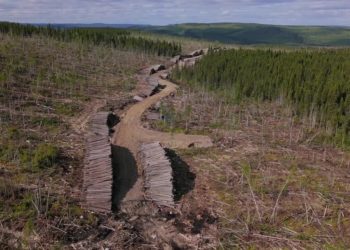 Carney’s ‘Build, Baby, Build’ Faces Pushback From Indigenous Groups