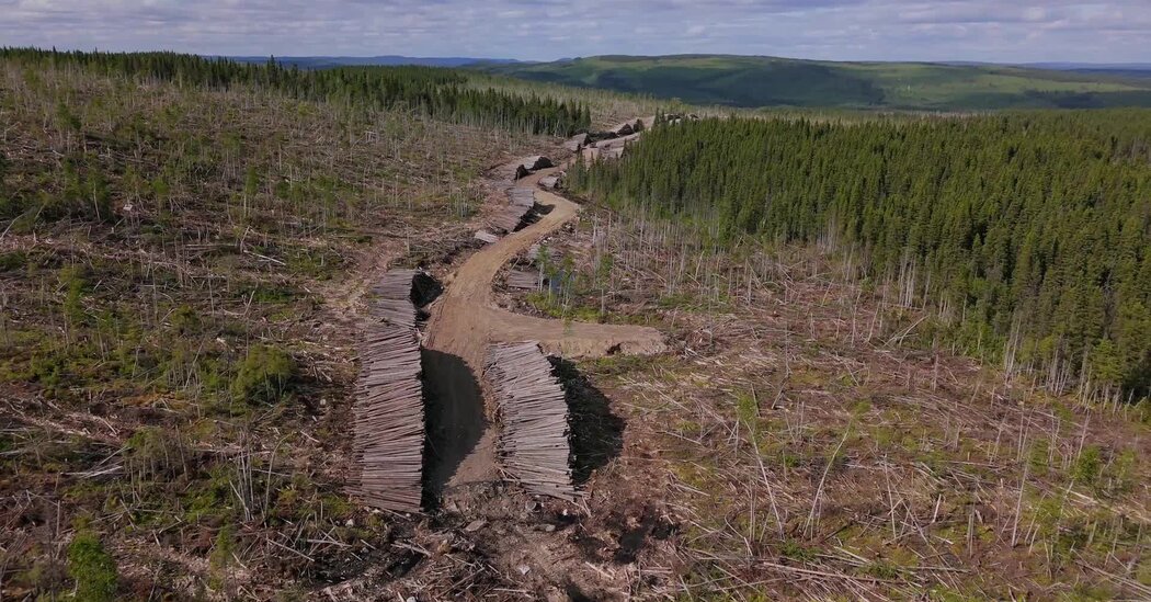 Carney’s ‘Build, Baby, Build’ Faces Pushback From Indigenous Groups