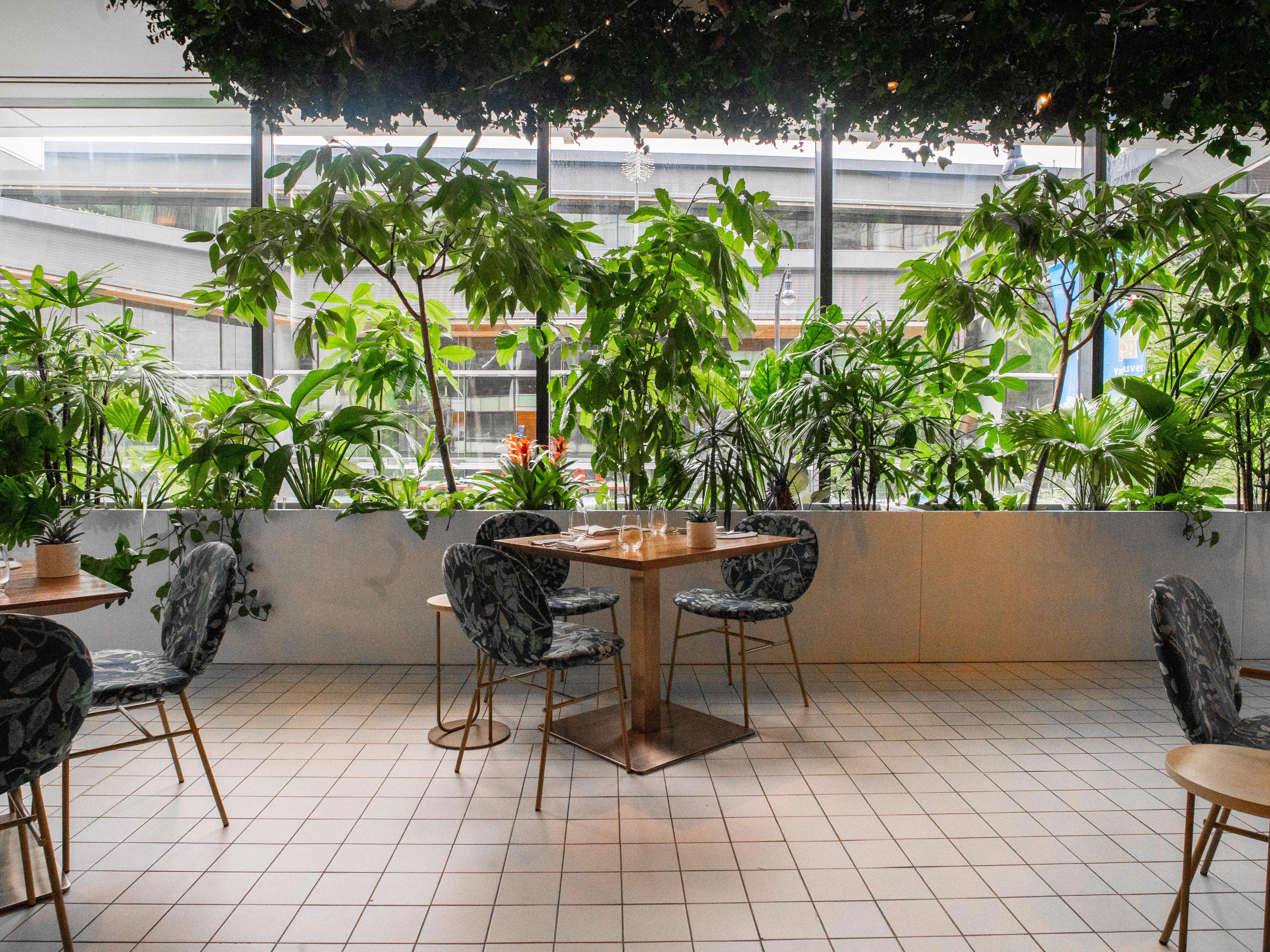 Tables at a restaurant with trees behind