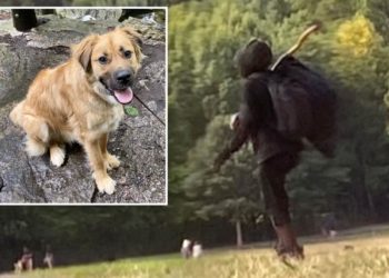 Crazed Prospect Park ‘dog killer’  back to his old ways, threatens to shoot pet owner