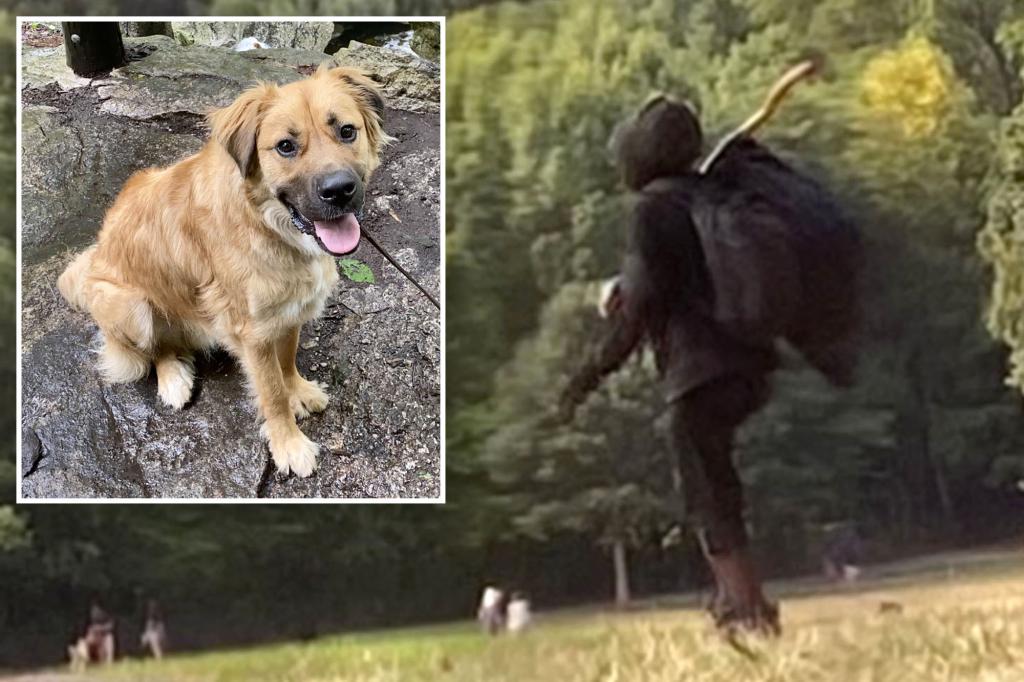 Crazed Prospect Park ‘dog killer’  back to his old ways, threatens to shoot pet owner