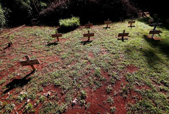 Grave tombstones in the shape of crosses are spread out through a field