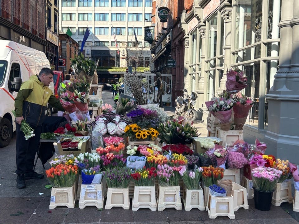 Flowers on display outside