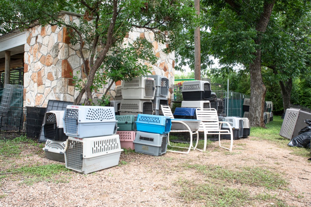 Many pet carriers stacked outdoors after Texas floods.