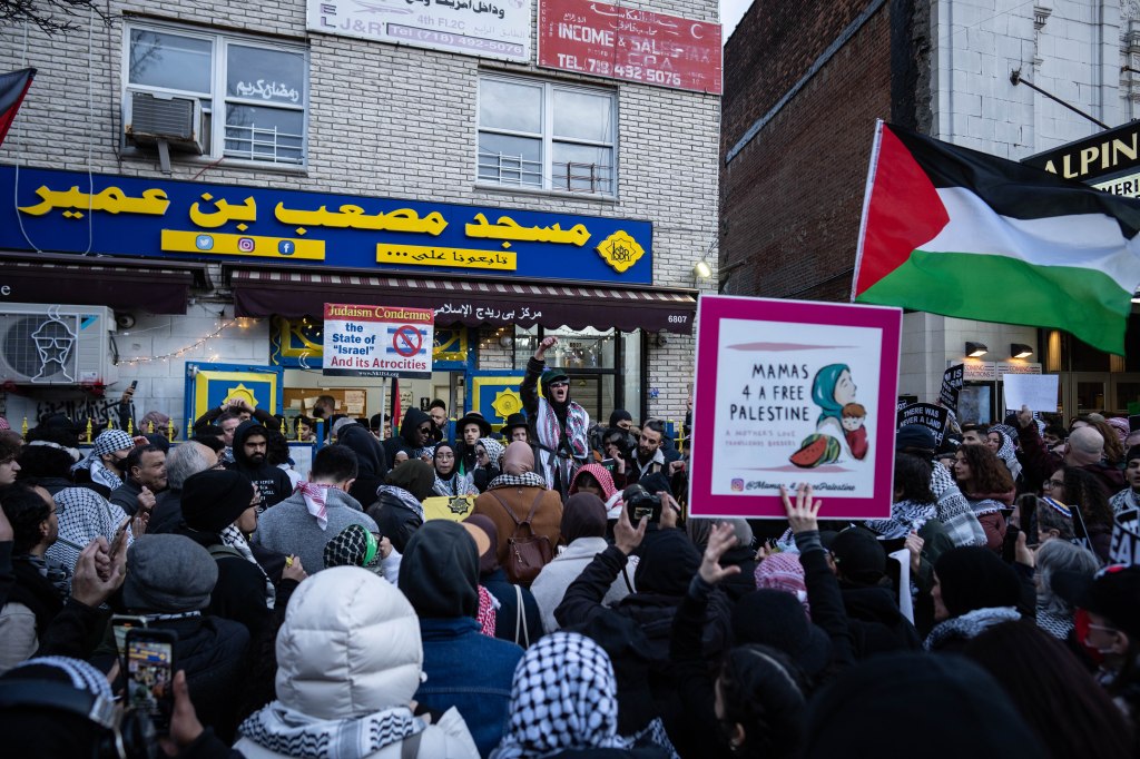 Pro-Palestine rally in Brooklyn.