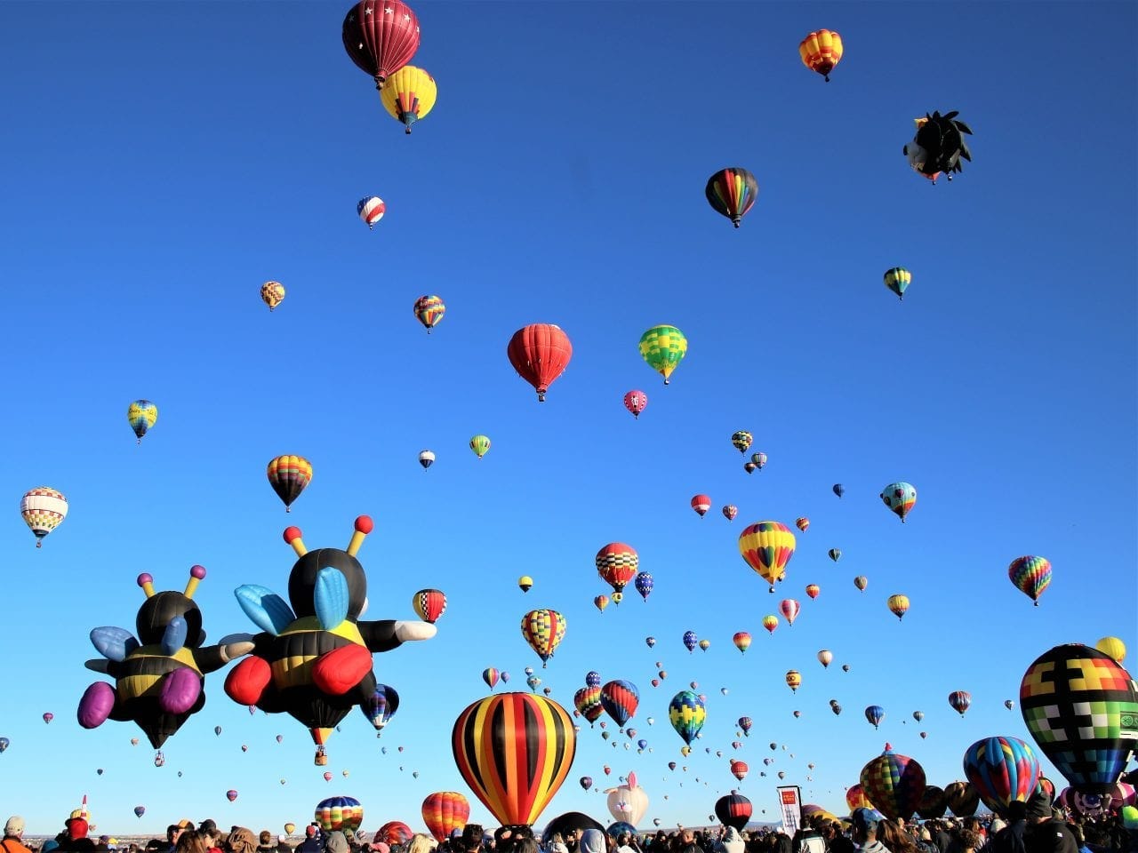 Multiple hot-air balloons in the air.