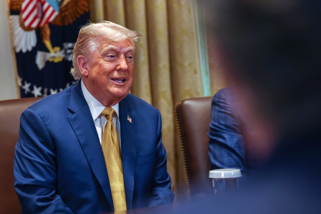 President Donald Trump speaks during a Cabinet Meeting at the White House on July 8, 2025.