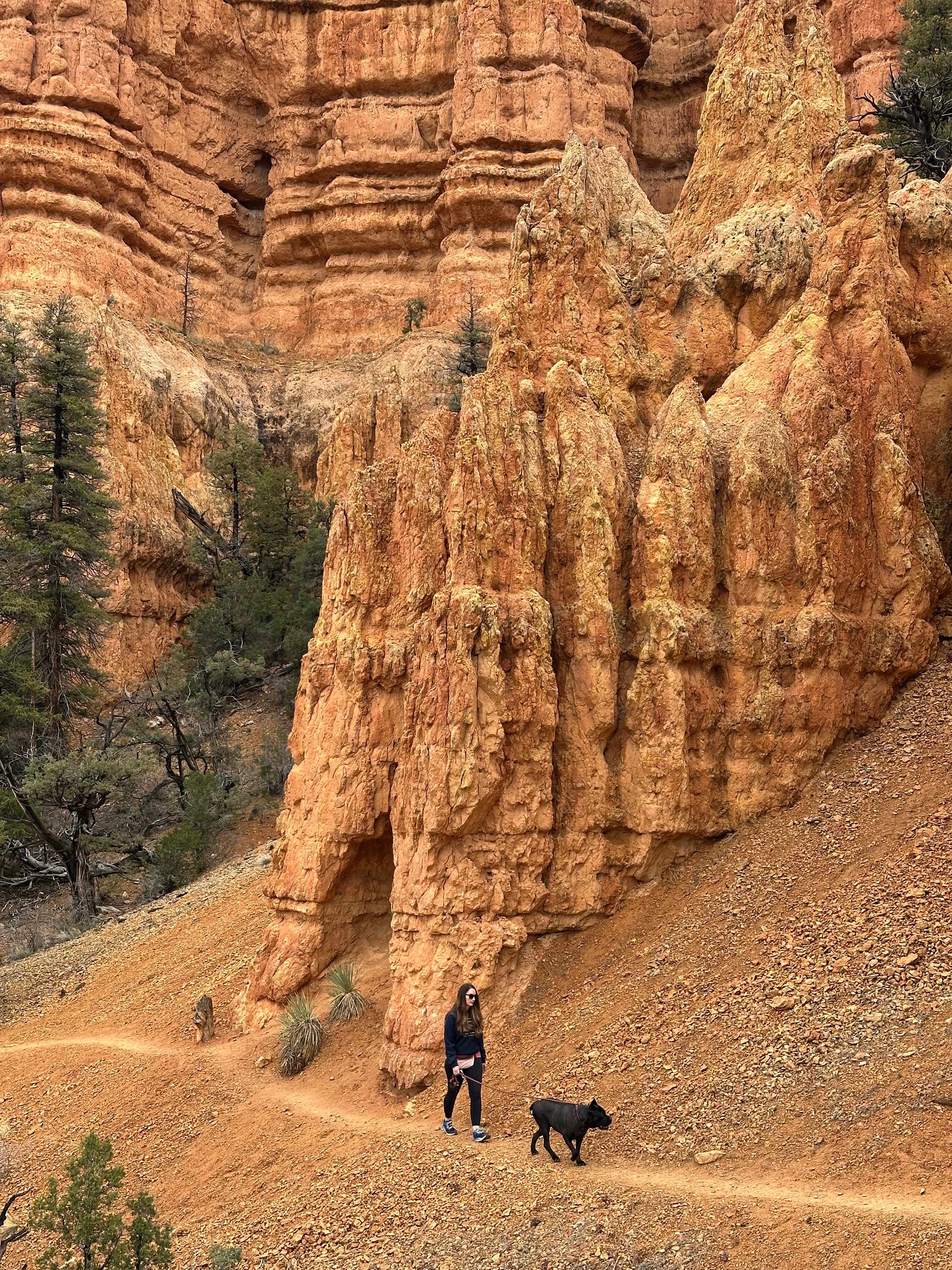 Richardson walking her dog in Utah.