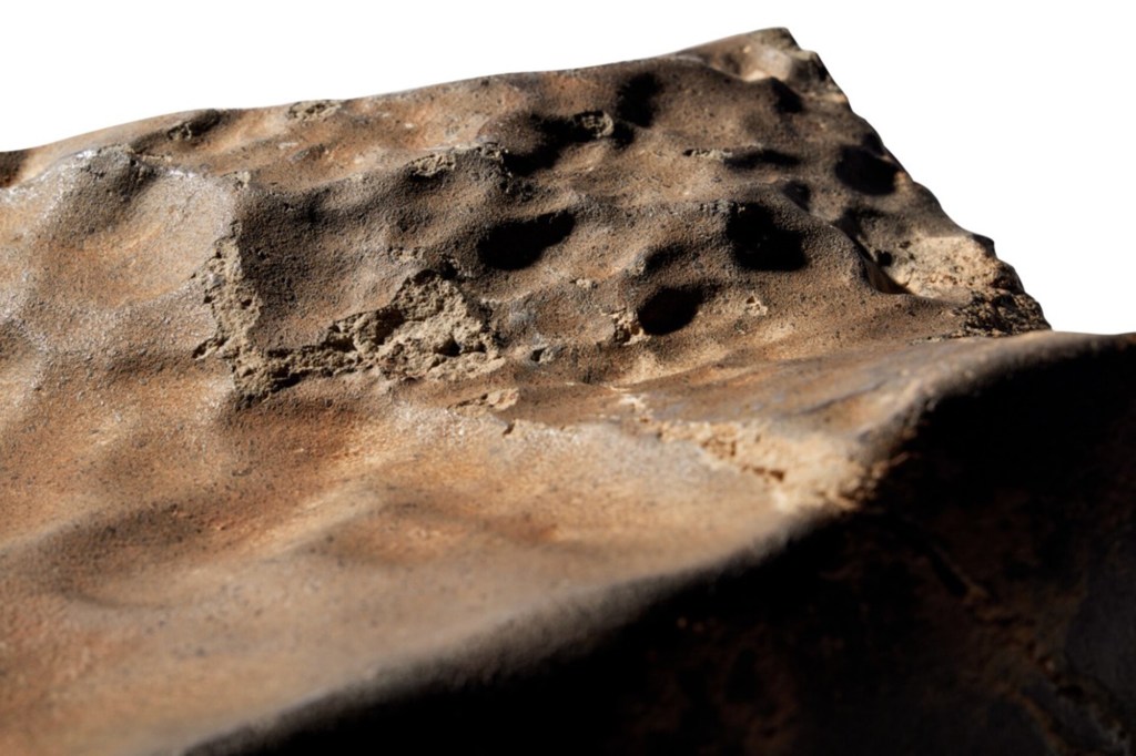 Close-up of a textured, brown, rock-like surface.