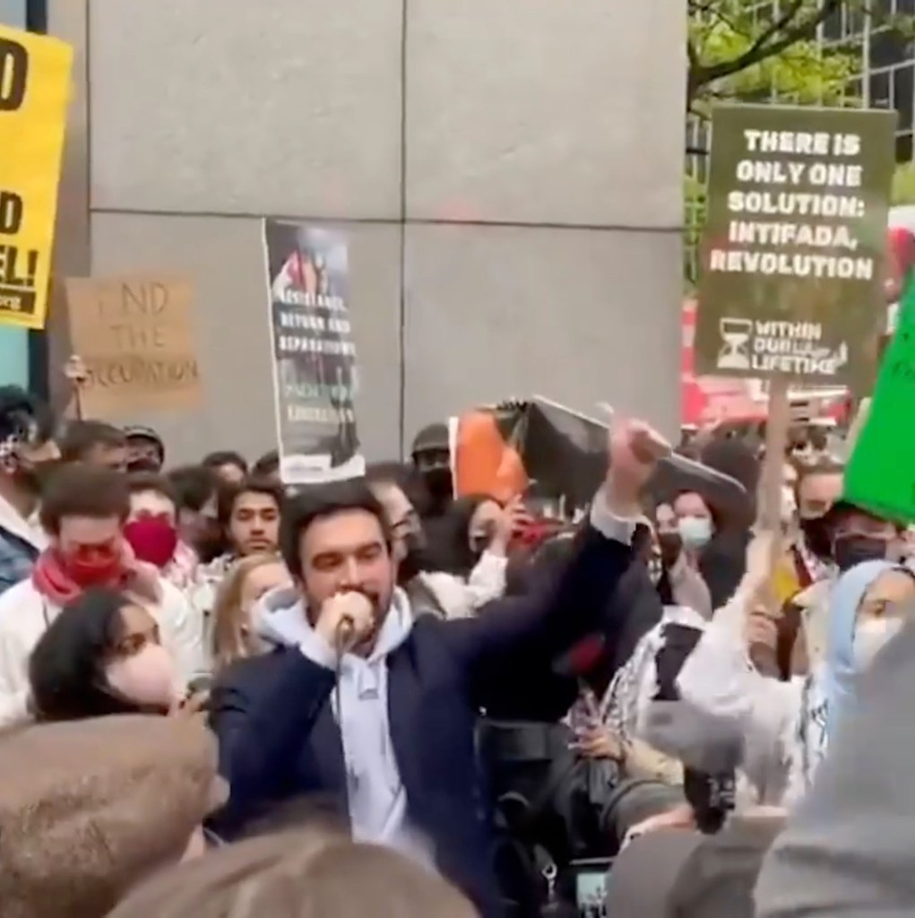 Zohran Mamdani speaks at a 'Within Our Lifetime Palestine Protest