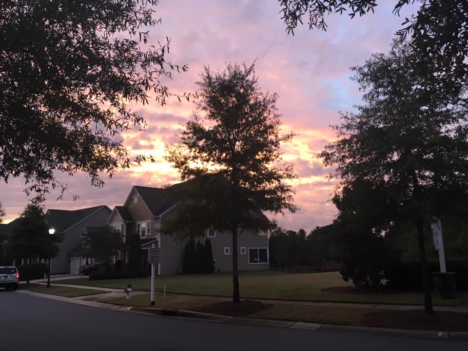 Valerie Mantelli's neighborhood in south carolina