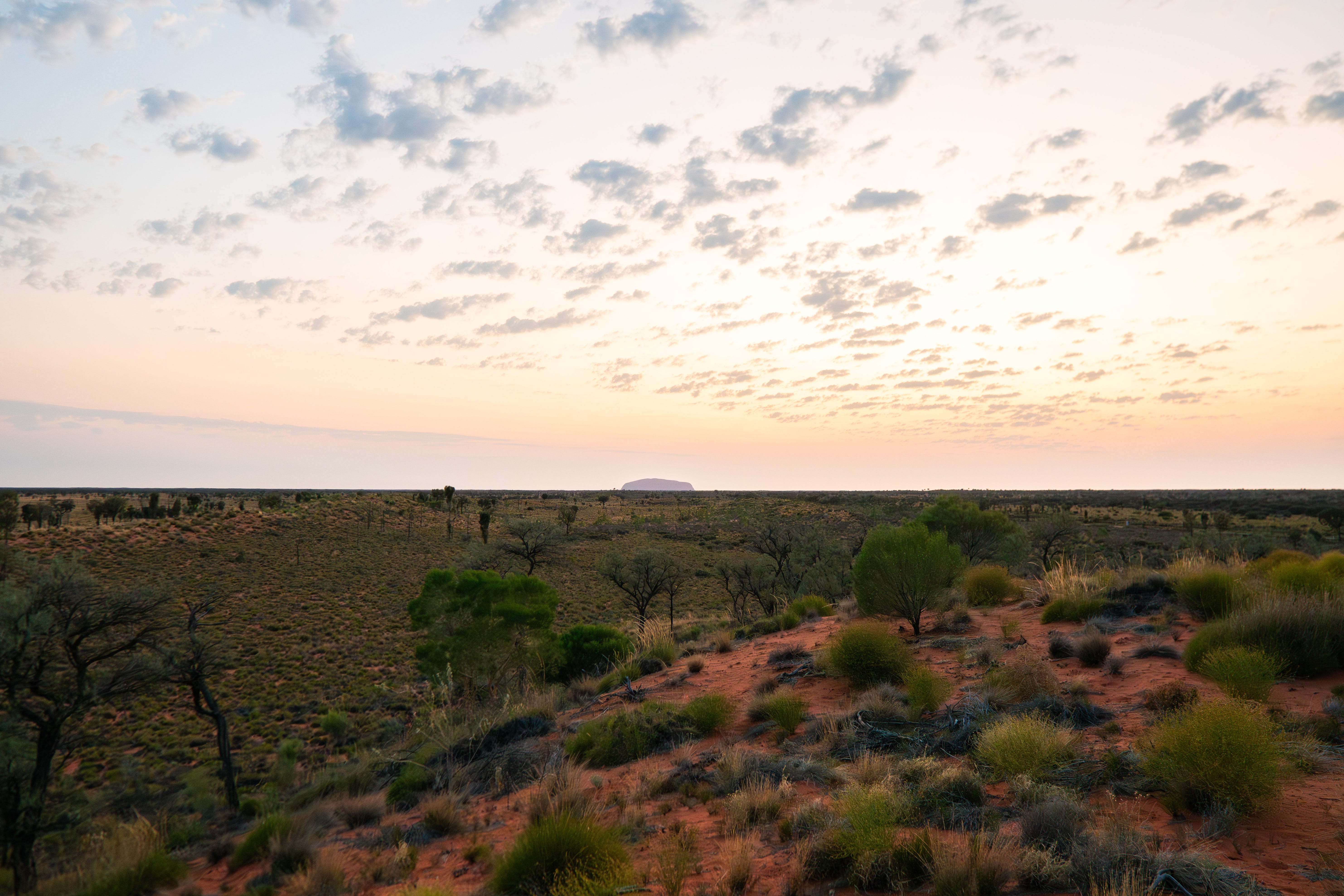 View of Australian outback at sunrise