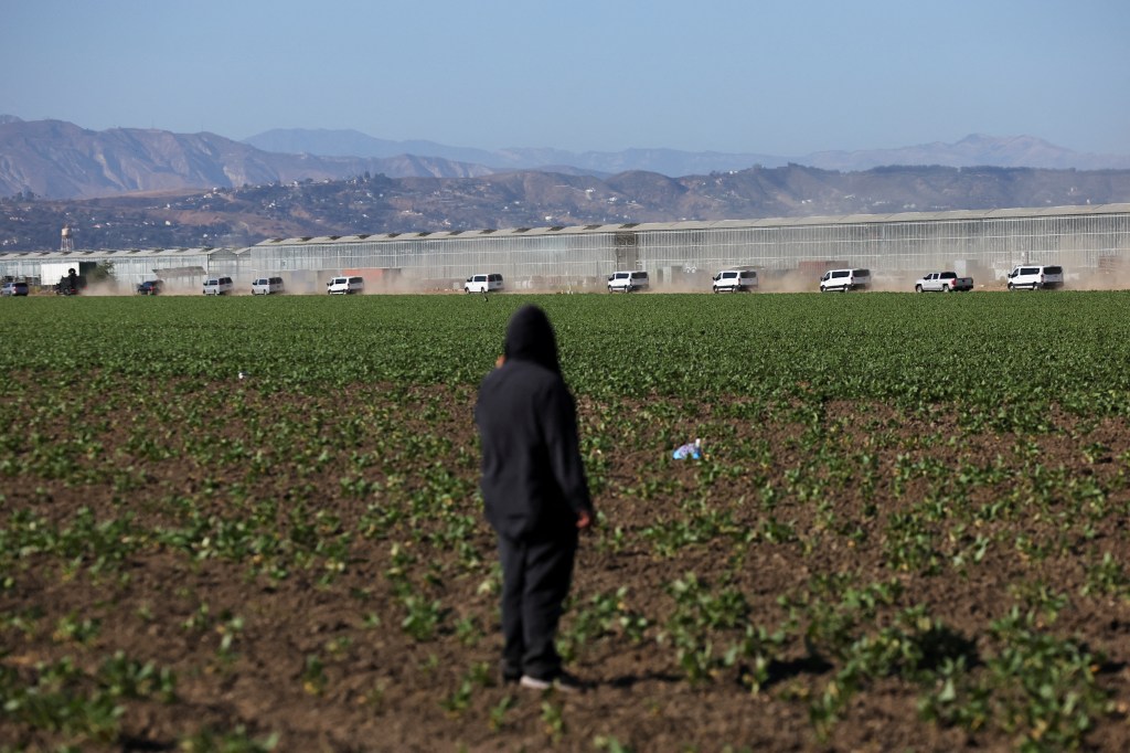 A demonstrator watches vans leave an agricultural facility after a raid by U.S. federal agents and immigration officers.