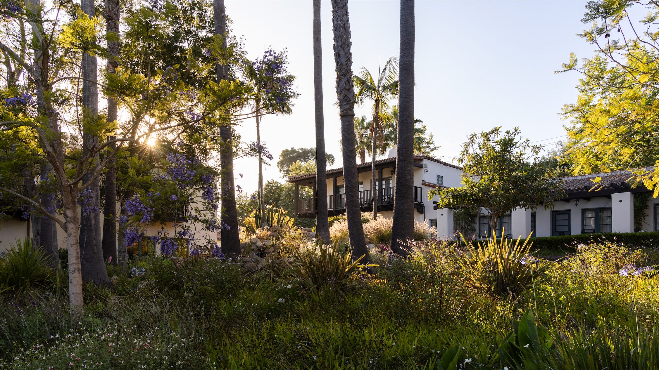 An exterior view of the white hotel building surrounded by greenery.