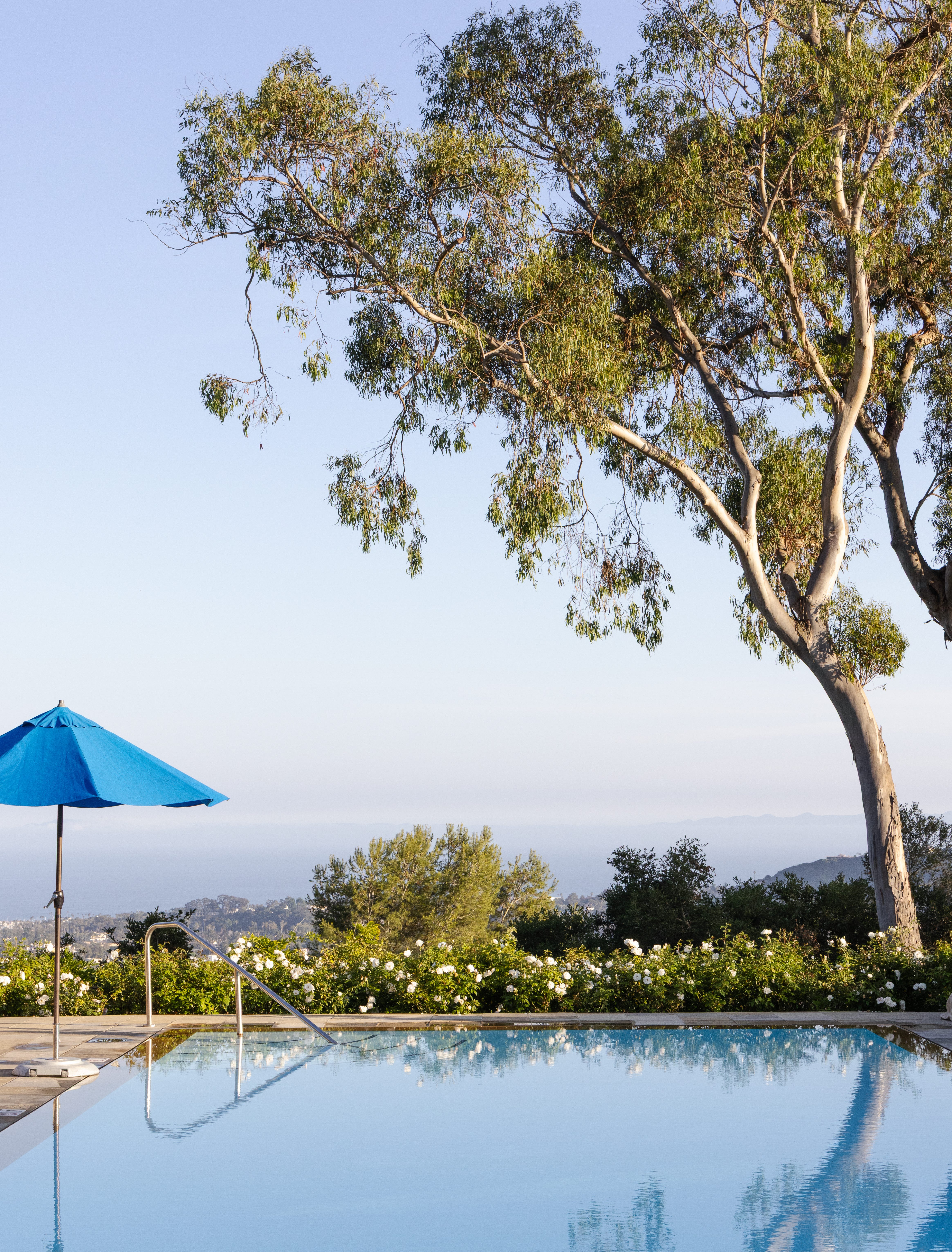 Umbrella next to a hotel pool that looks out over greenery.