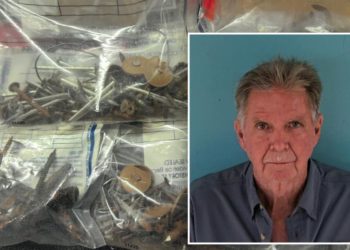 Florida ‘Nail Bandit’ accused of sabotaging fire rescue vehicles with sharp objects over ‘beef’ with department