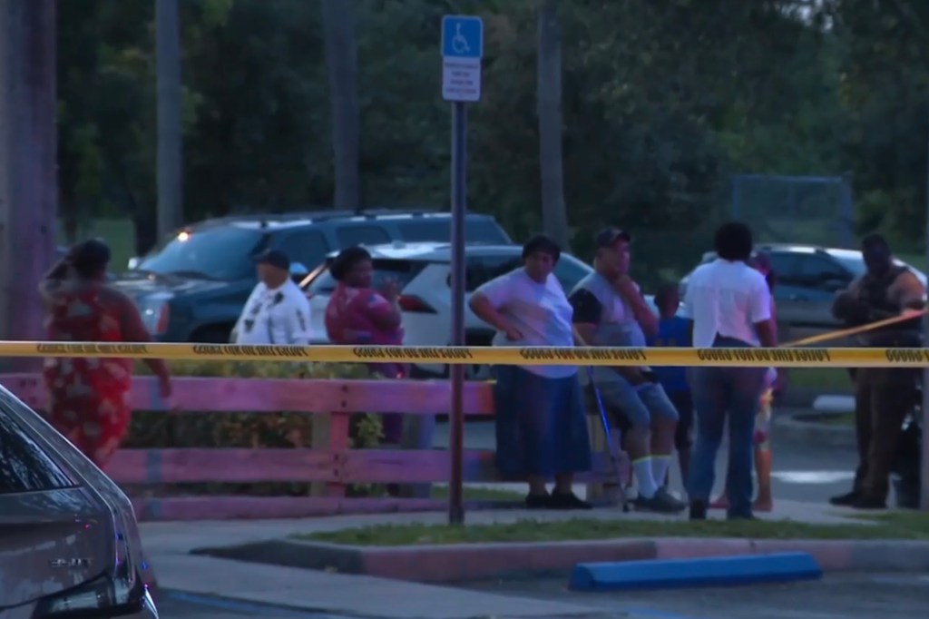 The sudden commotion caught the attention of residents who witnessed Johnson's capture.