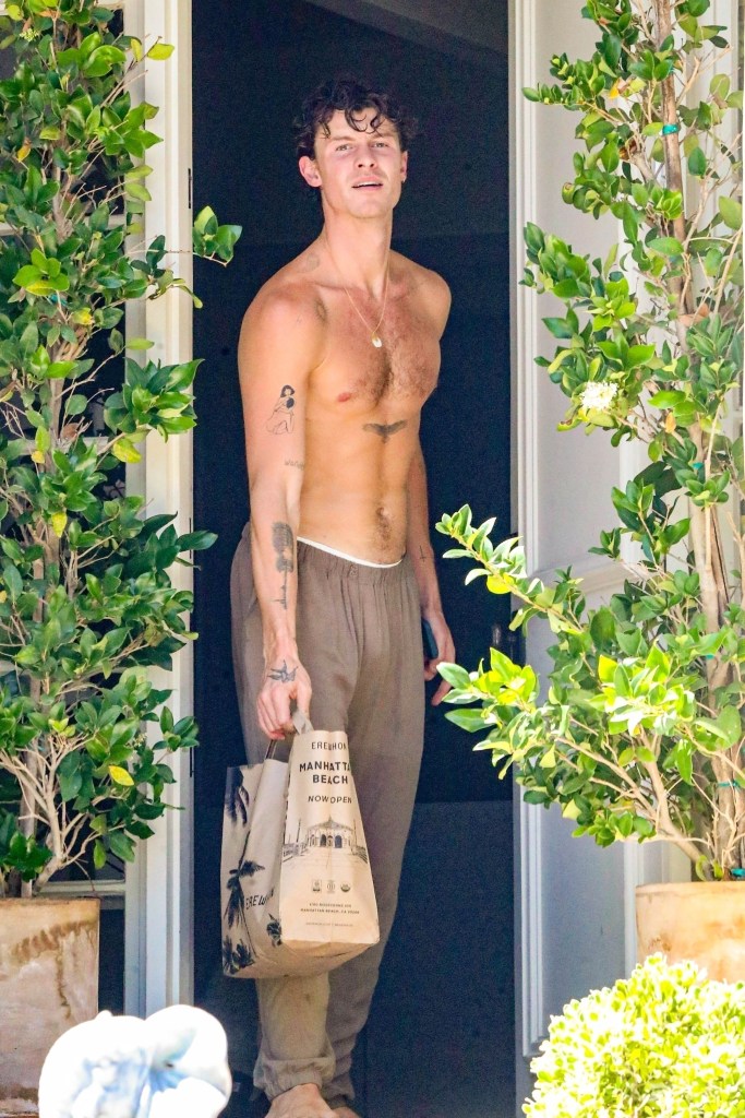 Shawn Mendes shows off his new eagle chest tattoo while getting a food delivery at his LA home.
