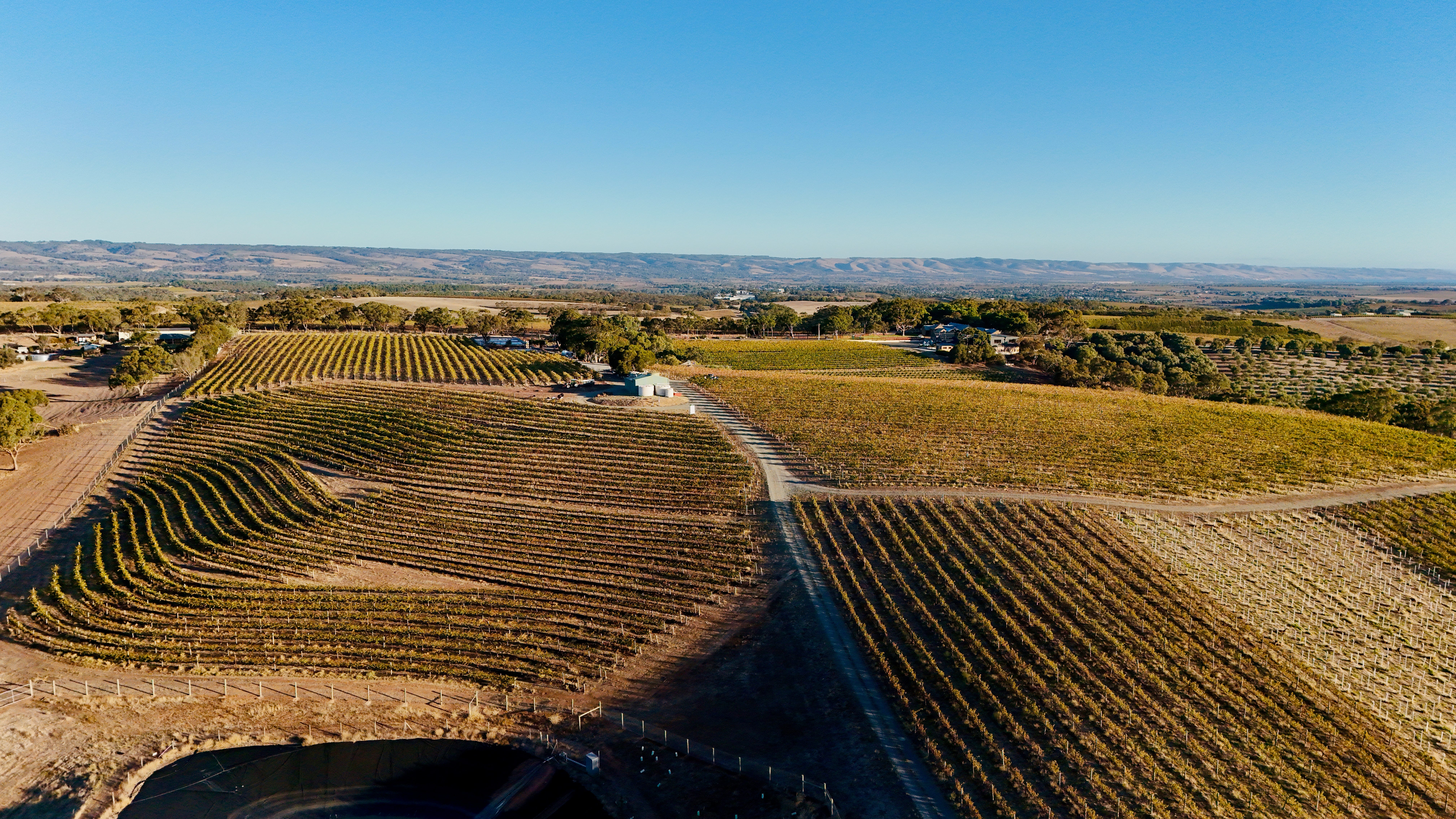 Aerial view of vineyards in  Blewitt Springs in South Australia, located within the McLaren Vale wine region