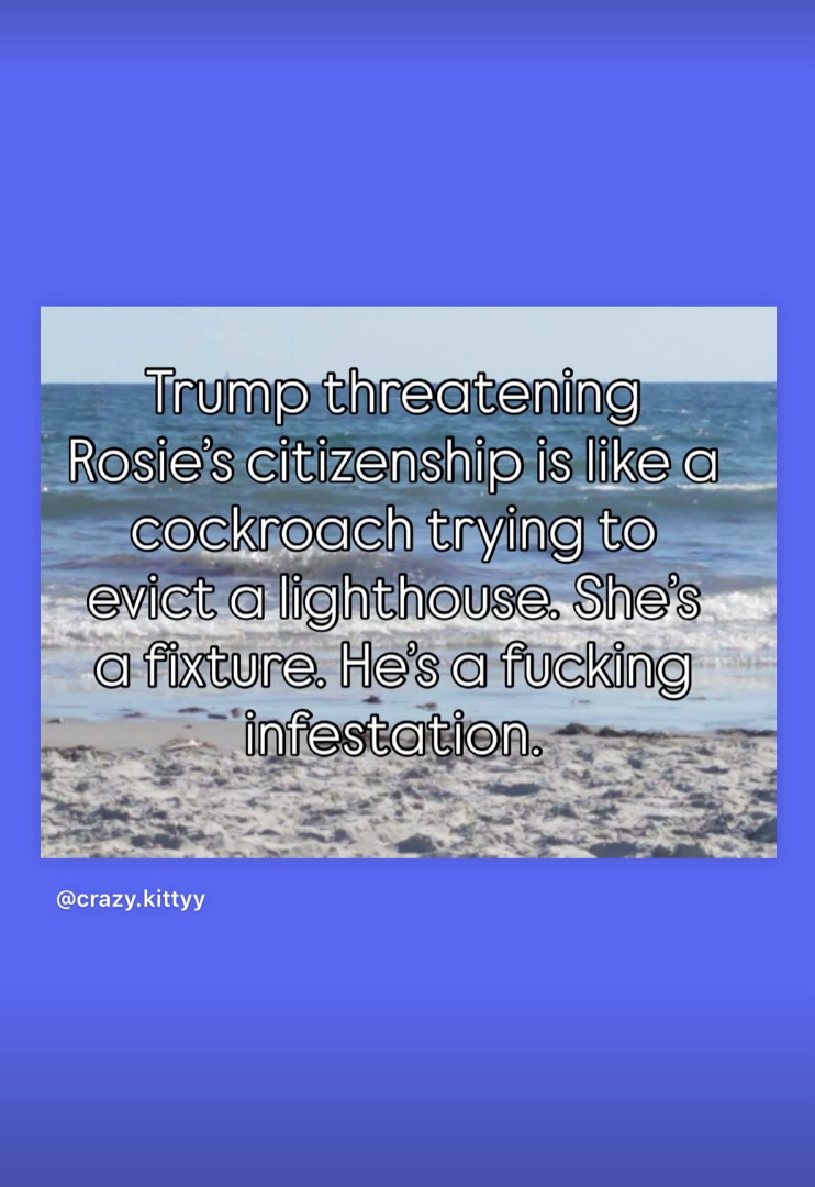 Rosie O'Donnell shares an Instagram post via social media. 