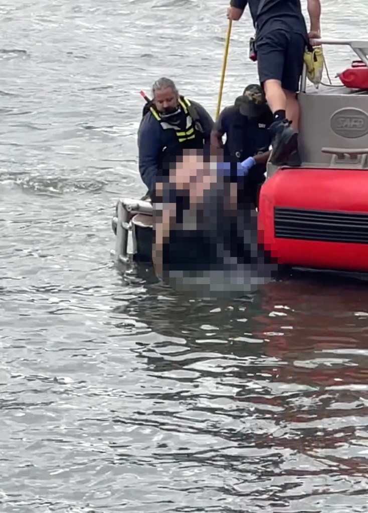 Recovery of a jumper from the water near the Williamsburg Bridge.