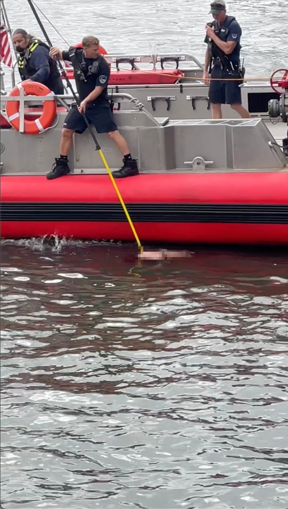Recovery of a body from the water near a boat.