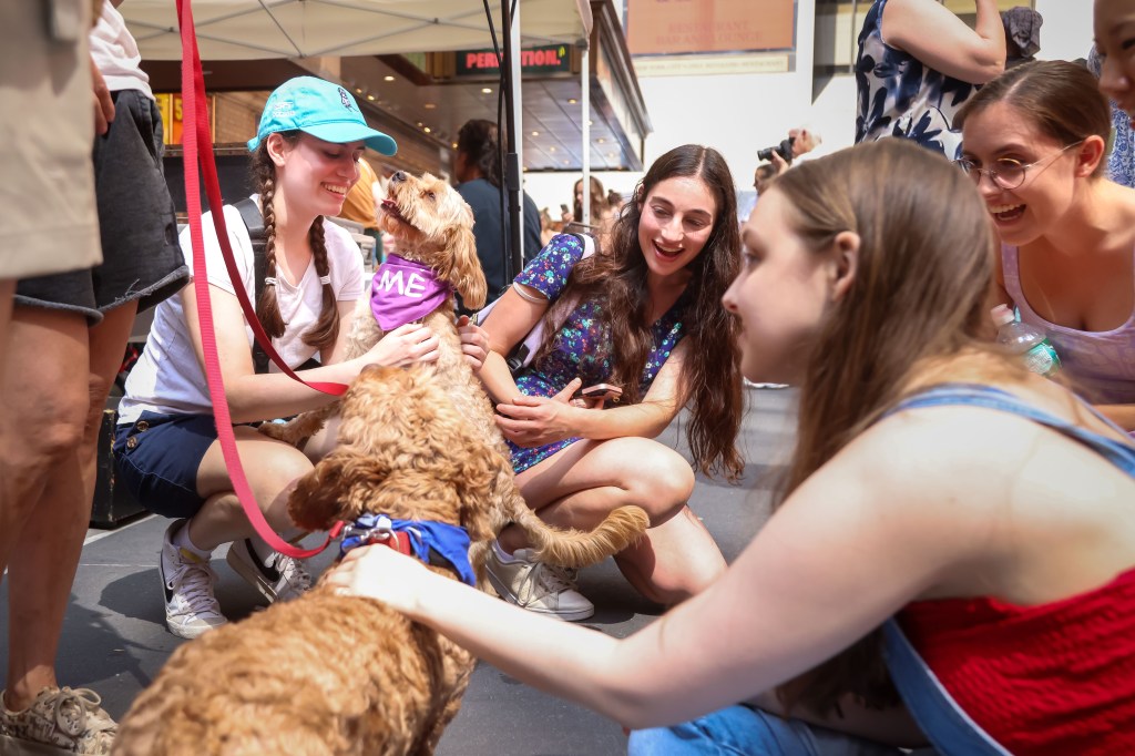 People petting puppies at Broadway Barks.
