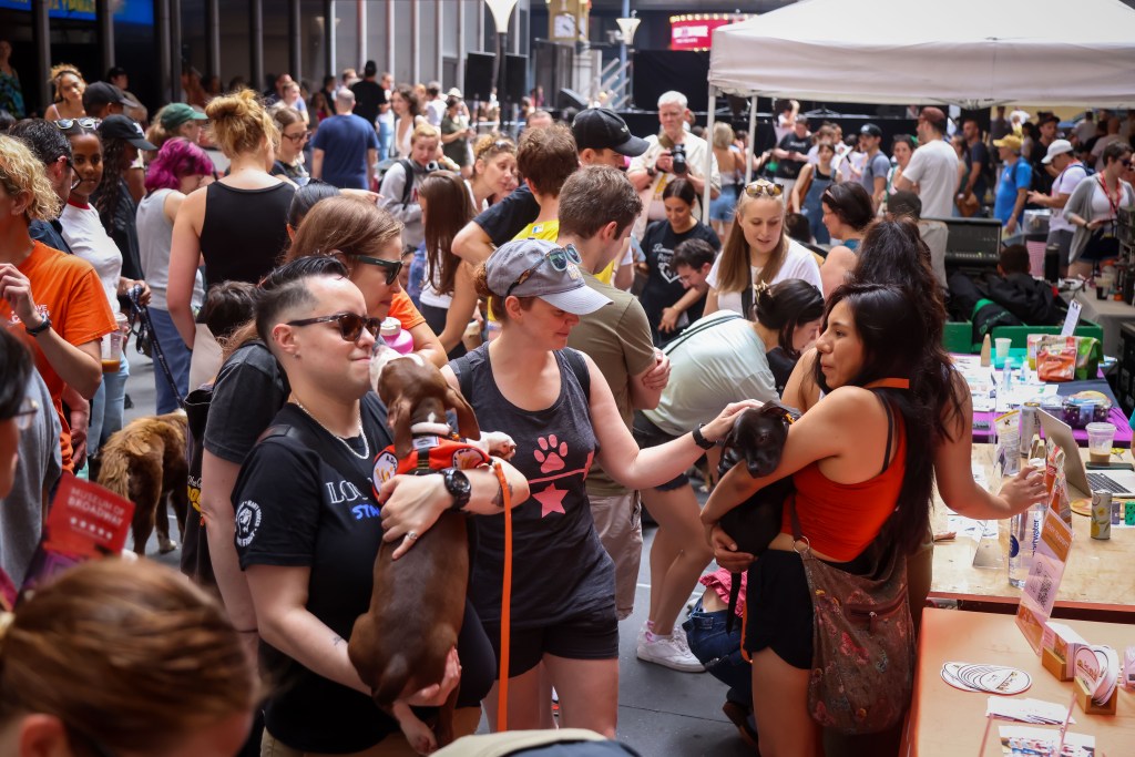 People petting puppies at Broadway Barks.
