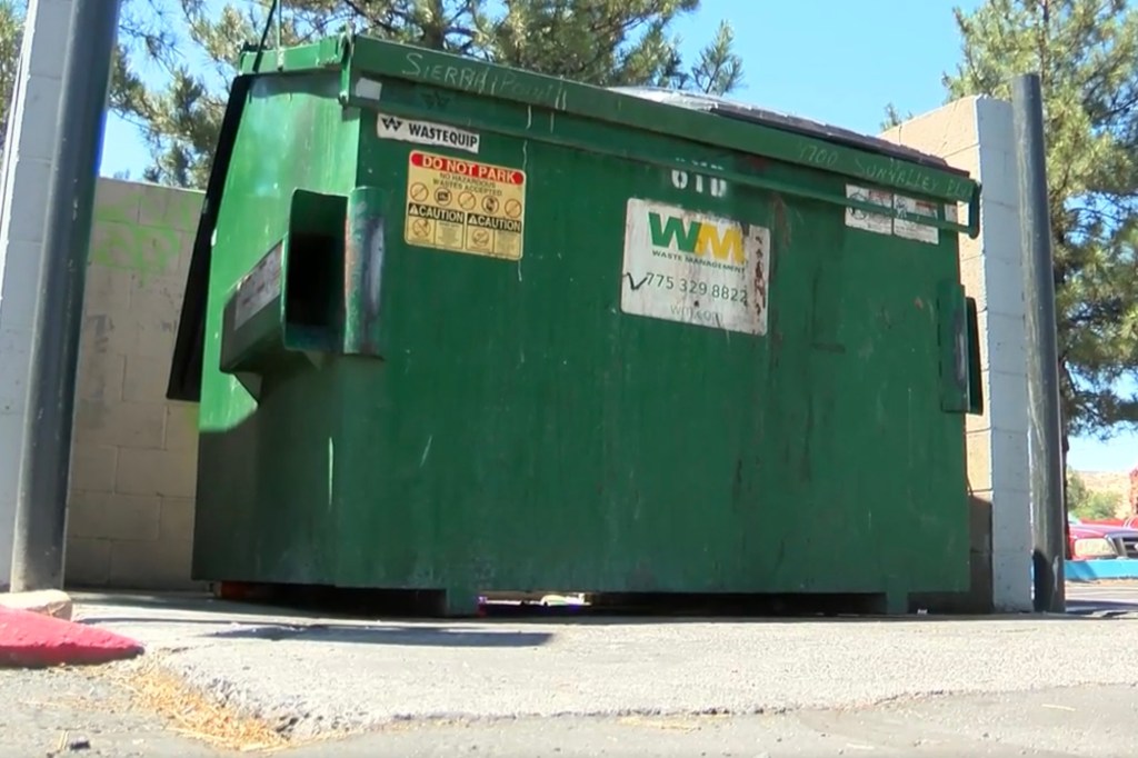 Green dumpster outside a building.