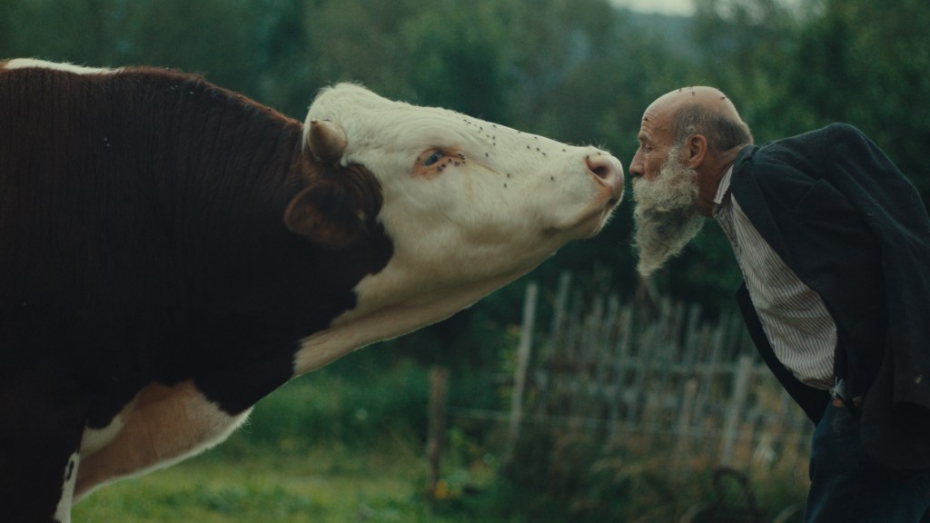‘Better Go Mad In The Wild’ Review: Miro Remo’s Crystal Globe Winner Gets Up Close And Personal With A Pair Of Eccentric Czech Twins – Karlovy Vary Film Festival