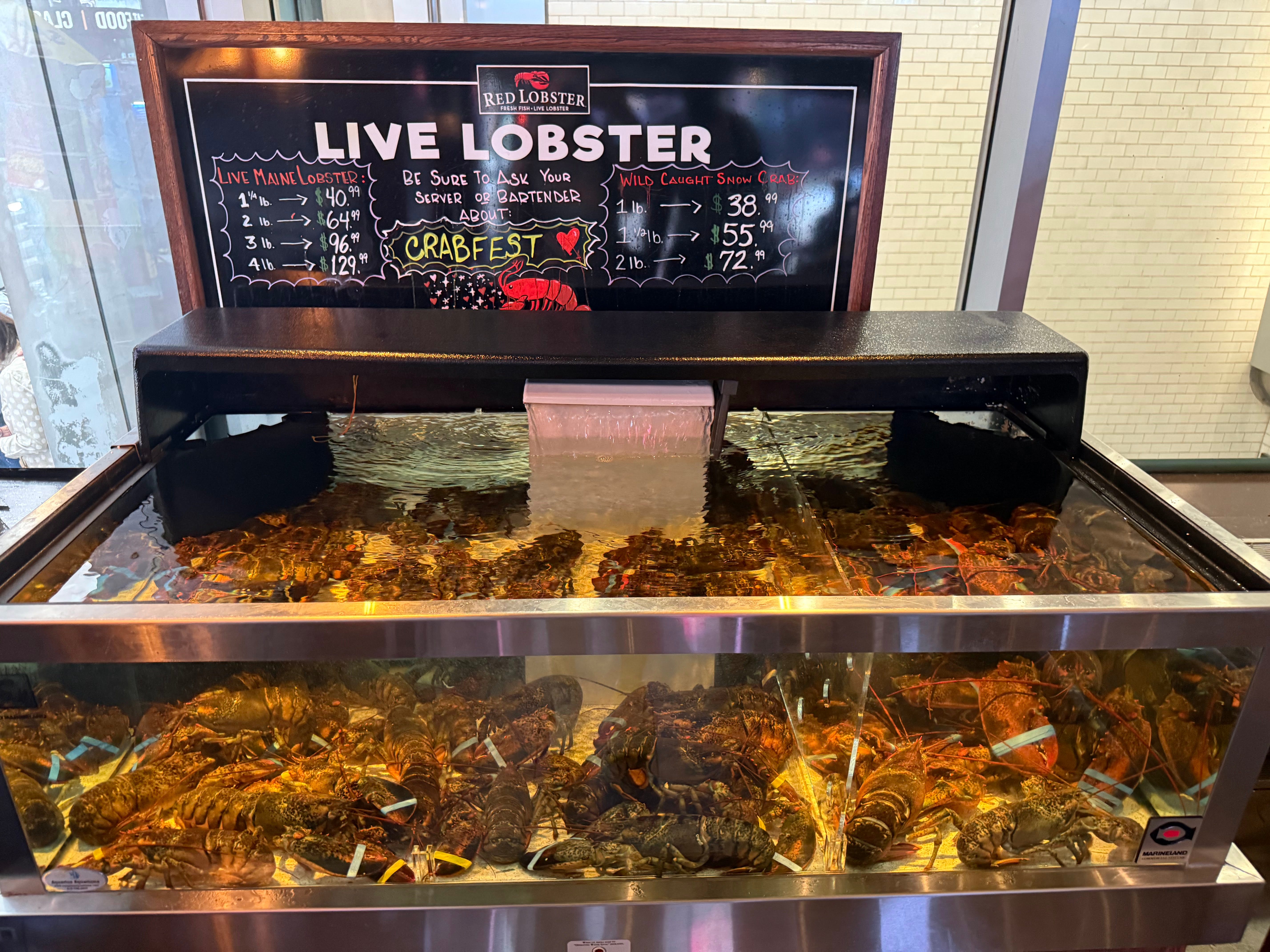 Red Lobster lobster tank